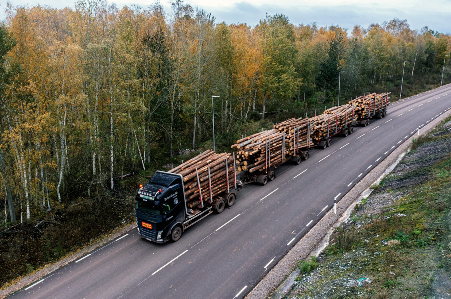 Foto: Kollberg & Karlsson / Holmen Skog, pressida, arkiv